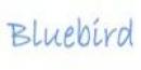 BluebirdCRM