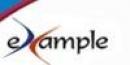 eXample Consulting Group