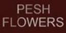 Pesh Flower School