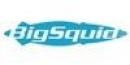Big Squid