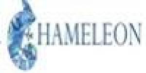 Startled Chameleon CBT and Solution Focused Training 