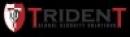 Trident Global Security Solutions (Northern Ireland)