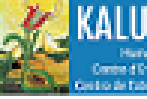 Hasc Proyecto Kalu - Humanitarian Aid Studies Centre