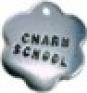 Charm School Crafts