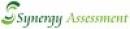 Synergy Training and Assessment