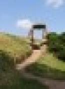 Amara Holistic Courses