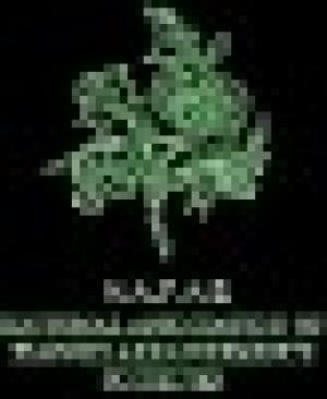 NAFAS Floral Art and Design