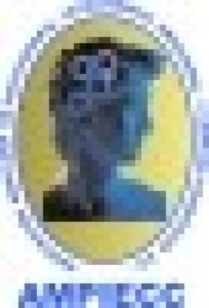 Spanish Full Immersion