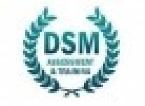 Dsm Assessment And Training Ltd