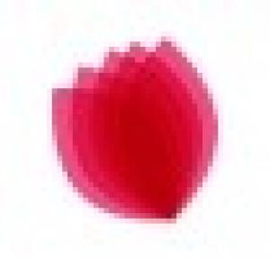 Online Courses in Horticulture