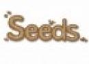 SEEDS - Mental Health First Aid (MHFA)