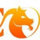 Capricorn Security and Training Ltd