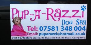 Pup-A-Razzi Dog Grooming School