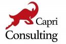 Capri Consulting Ltd